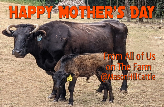 Mother's Day WAGYU SALE Ends Sunday